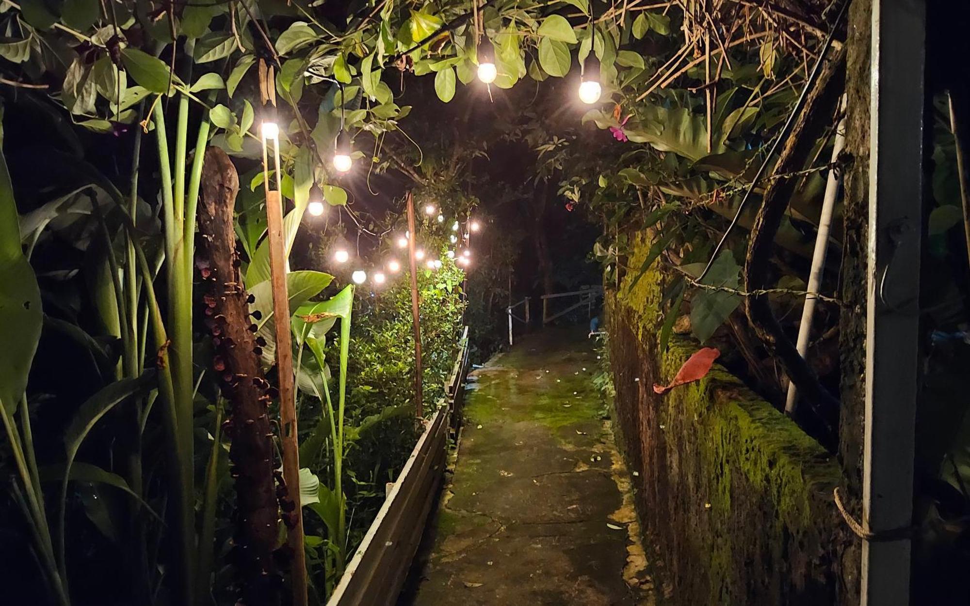 Balmy Hideout Cafe & Homestay Ban Huai Kaeo Zewnętrze zdjęcie