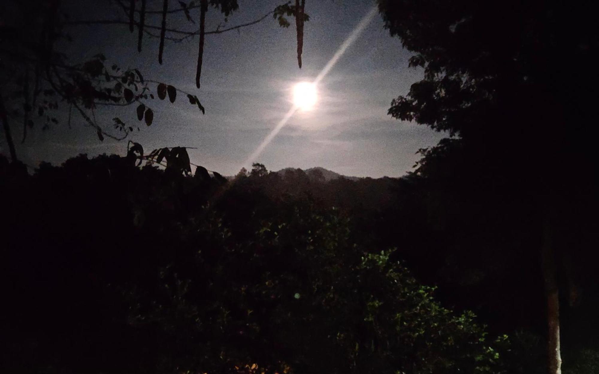 Balmy Hideout Cafe & Homestay Ban Huai Kaeo Zewnętrze zdjęcie