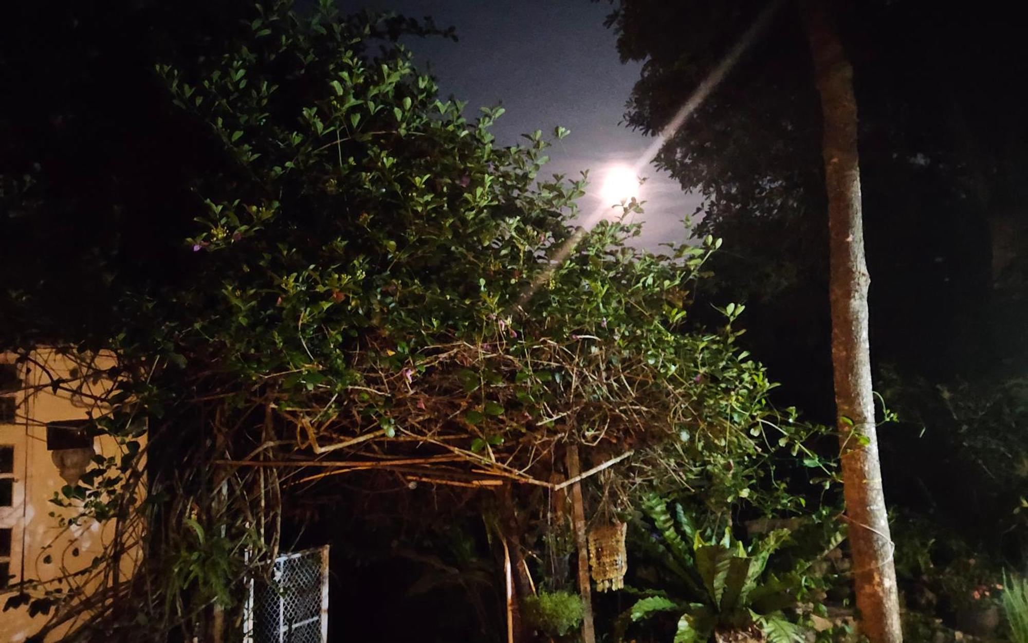 Balmy Hideout Cafe & Homestay Ban Huai Kaeo Zewnętrze zdjęcie