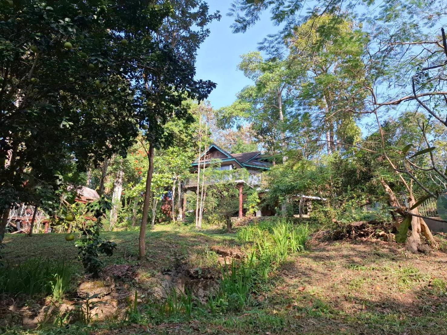 Balmy Hideout Cafe & Homestay Ban Huai Kaeo Zewnętrze zdjęcie